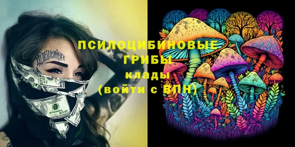 хмурый Алексеевка